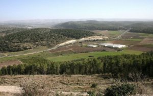 The valley of Elah - Feed Me The Word Today